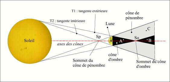 taille.jpg