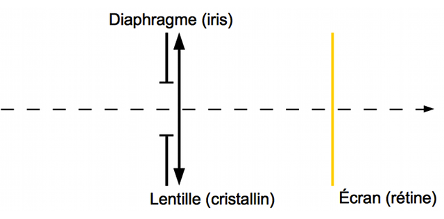 instru-oeil-modele.png