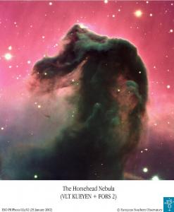 horsehead.jpg