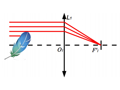 oo-strioscopie-explication01.png